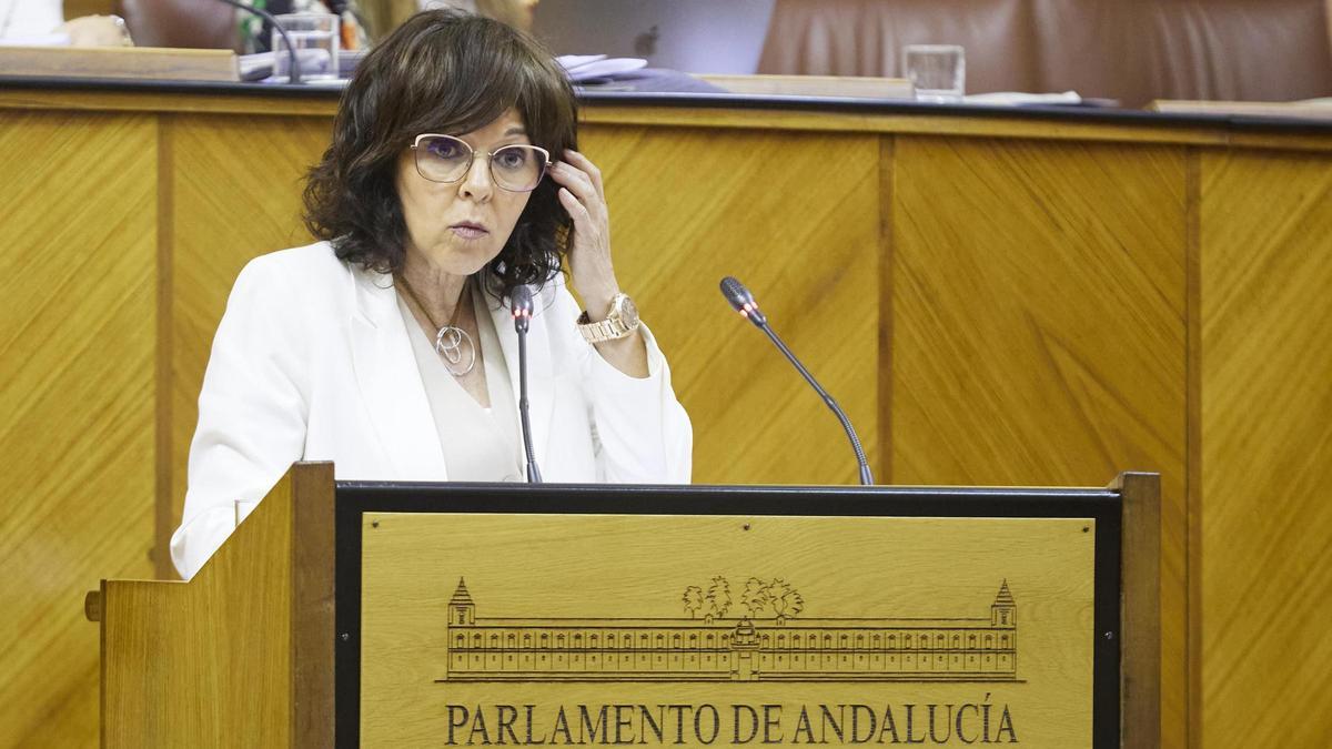 La portavoz de Salud del Grupo Socialista en el Parlamento andaluz, María Ángeles Prieto.