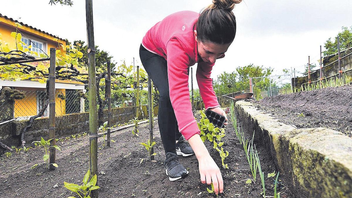 Una mujer trabaja en la huerta de su casa.