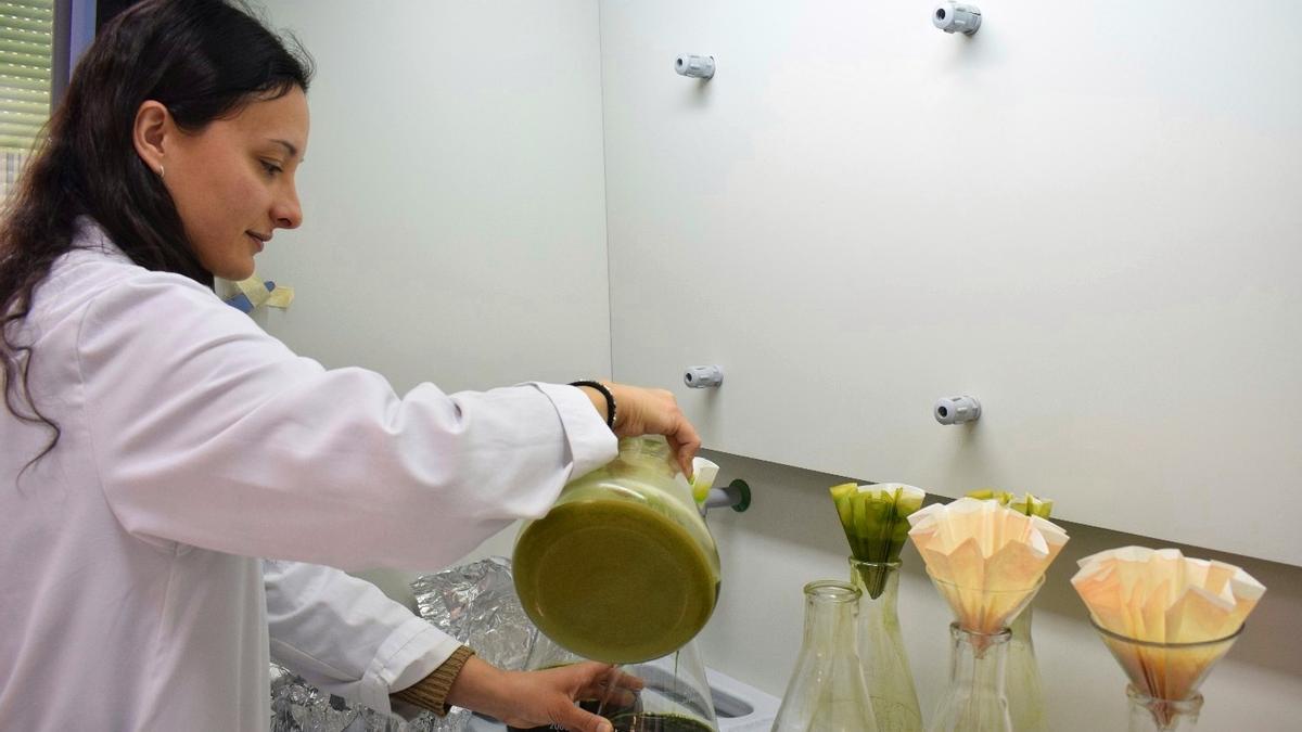 La doctora Begoña Isabel Antón.