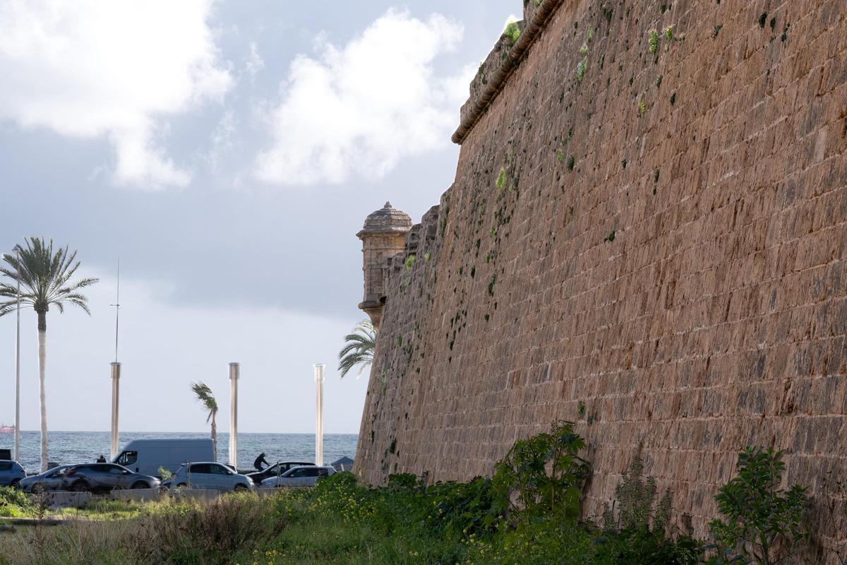 Lienzo de muralla y foso con acumulación de hierbas