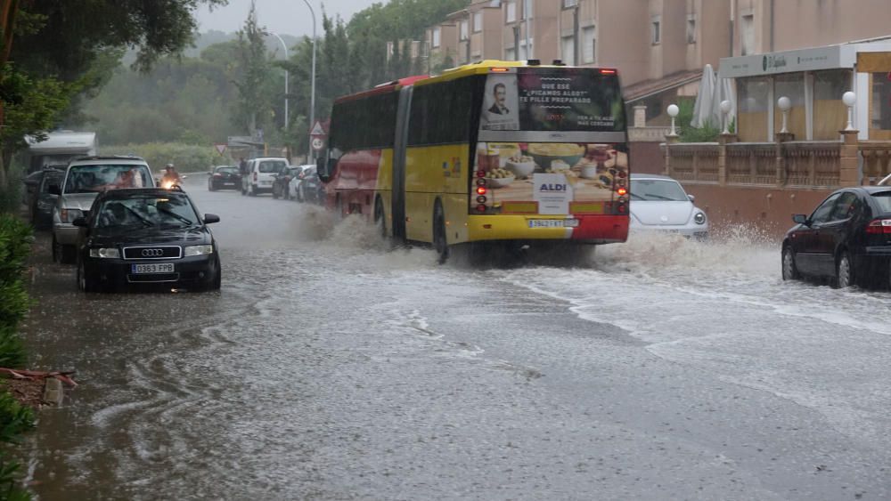 Überschwemmungen und umgestürzte Bäume auf Mallorca.