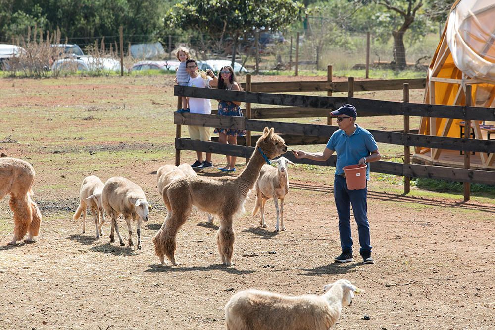 Fiesta para salvar las razas autóctonas