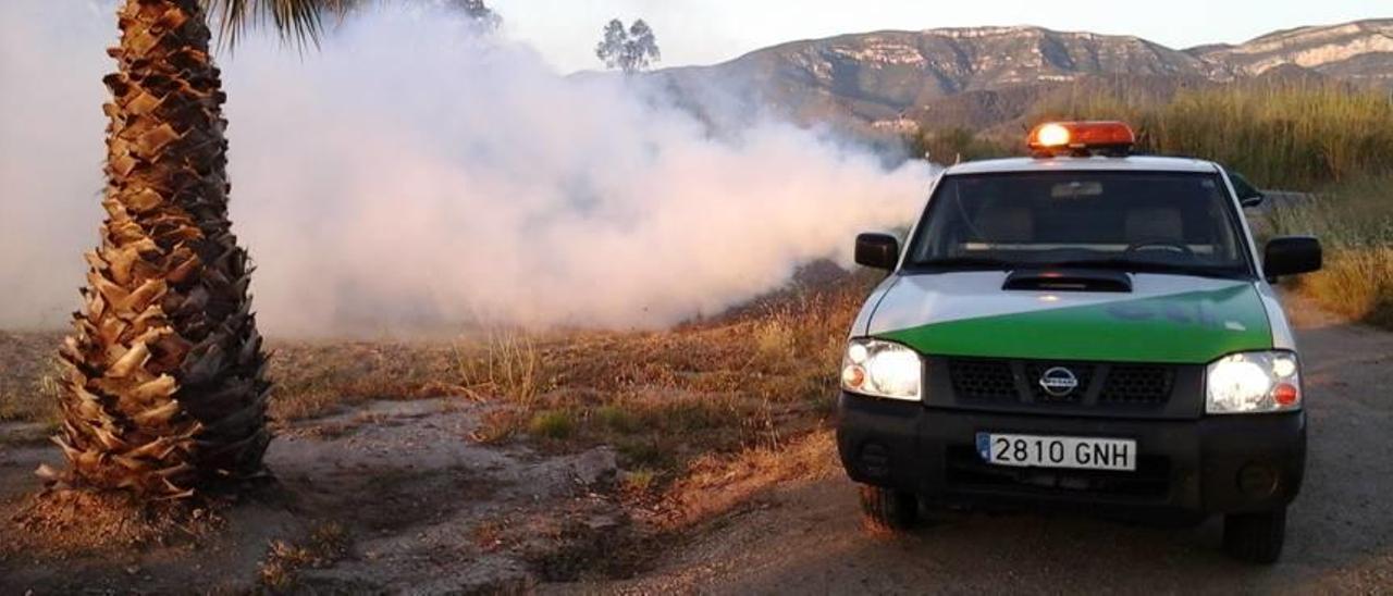 Cullera se ve forzada a alargar otro mes la lucha contra el mosquito tigre