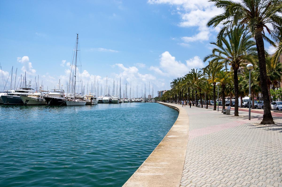 El Paseo Marítimo de Palma de Mallorca entre palmeras y yates