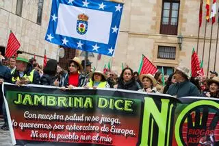 Ni molinos ni biogás: la oposición al nuevo mapa energético convoca a un millar de zamoranos en la capital