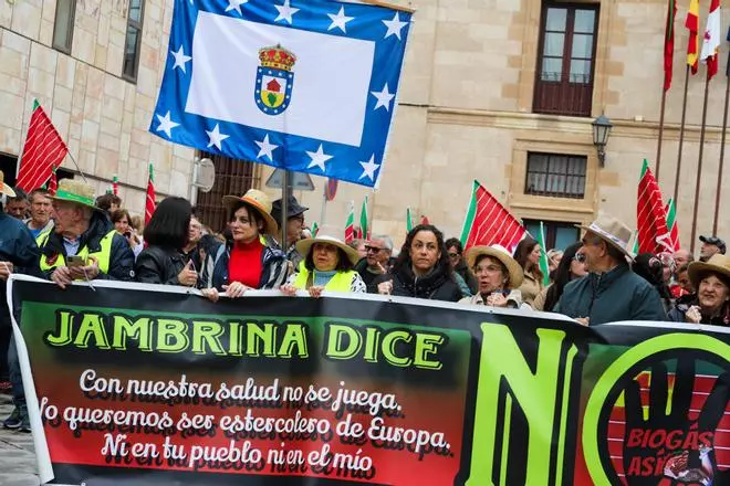 Ni molinos ni biogás: la oposición al nuevo mapa energético convoca a un millar de zamoranos en la capital