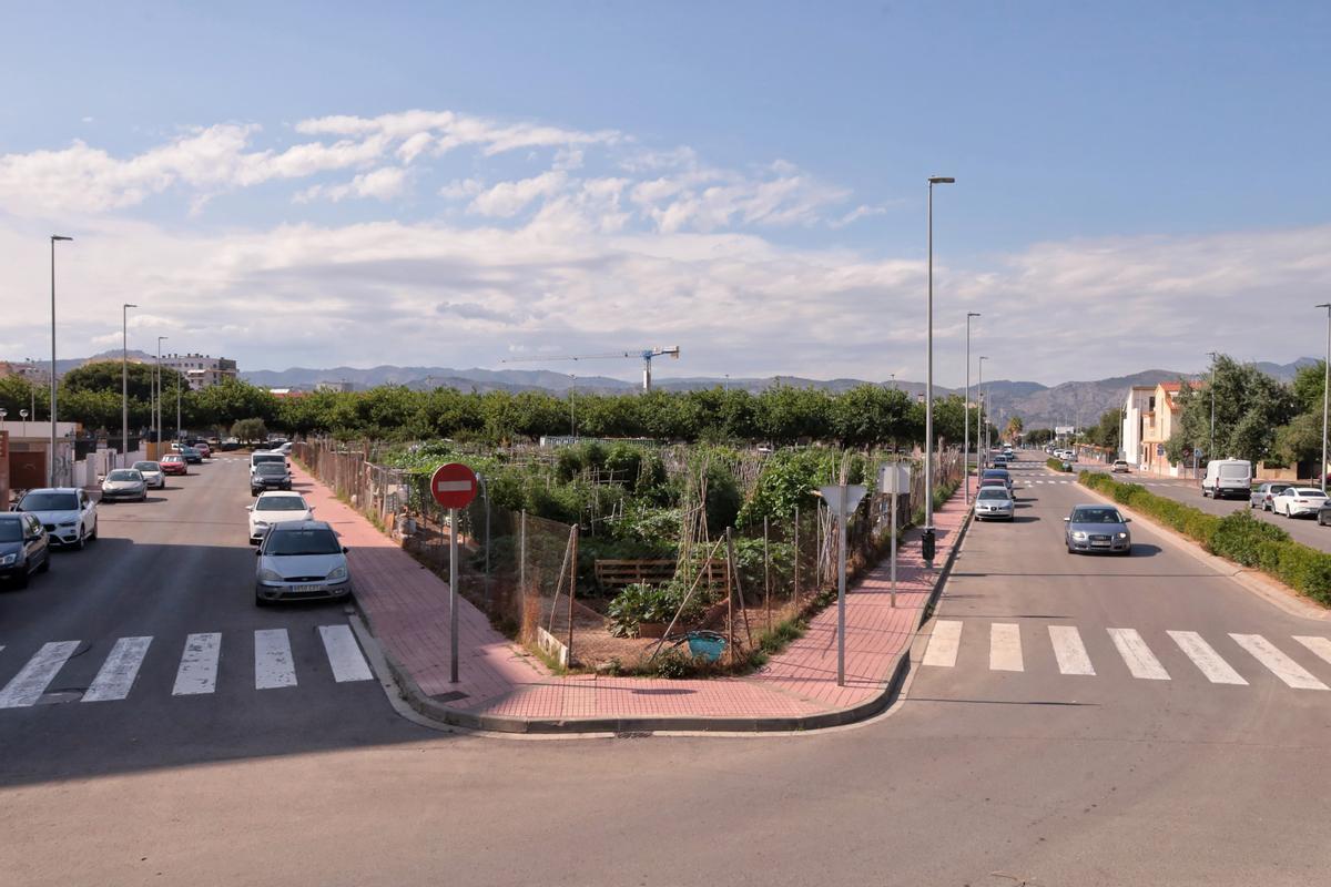 Huerto urbano en la calle Francisco Ruiz de Castelló.