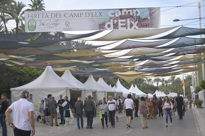 Tres dias de Fireta del Camp d'Elx