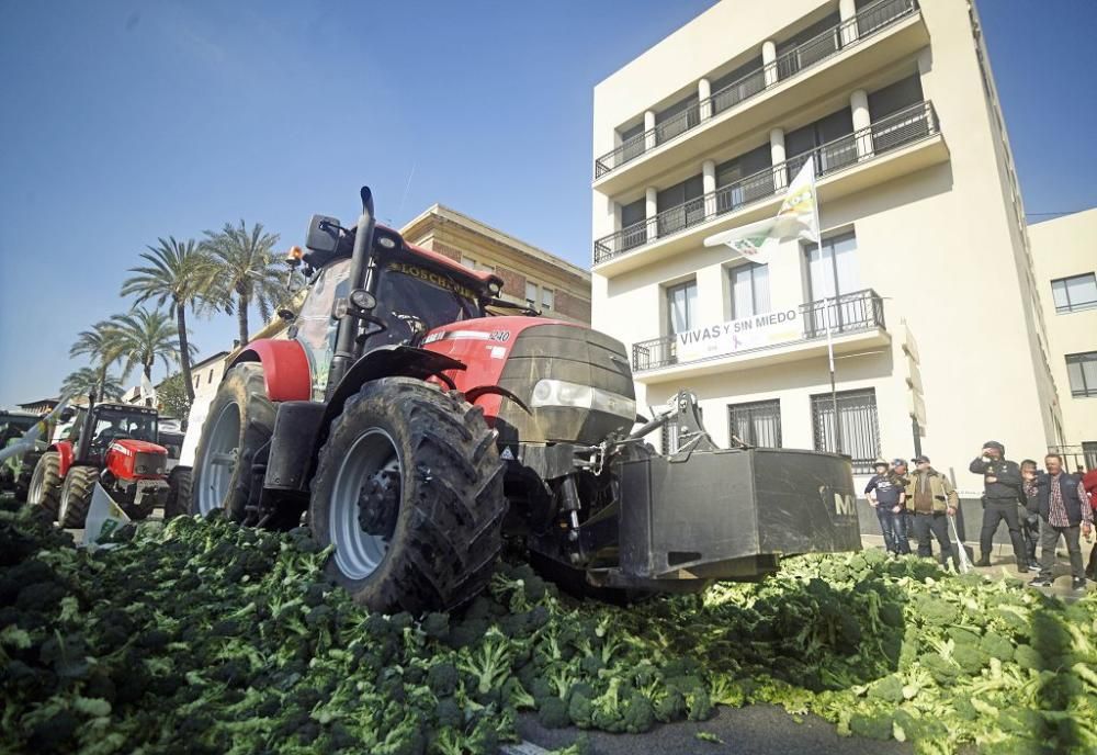 Así ha sido la manifestación de los agricultores en Murcia (II)