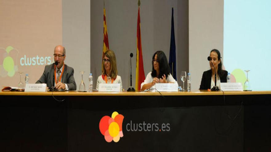 Congreso &quot;Clustering&quot;