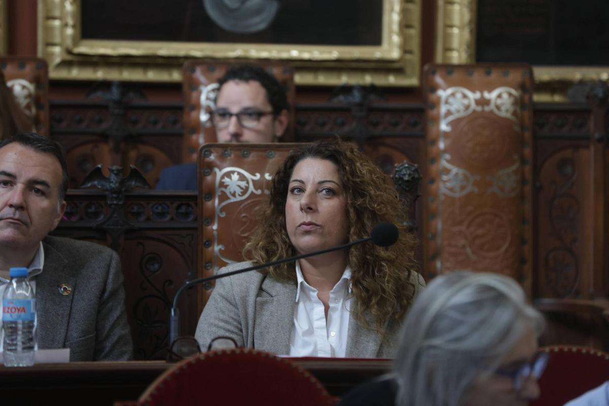 Angélica Pastor, en el pleno celebrado este jueves.