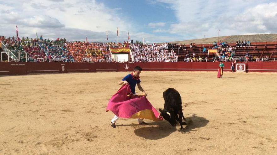 Un peñista se atreve con una vaquilla