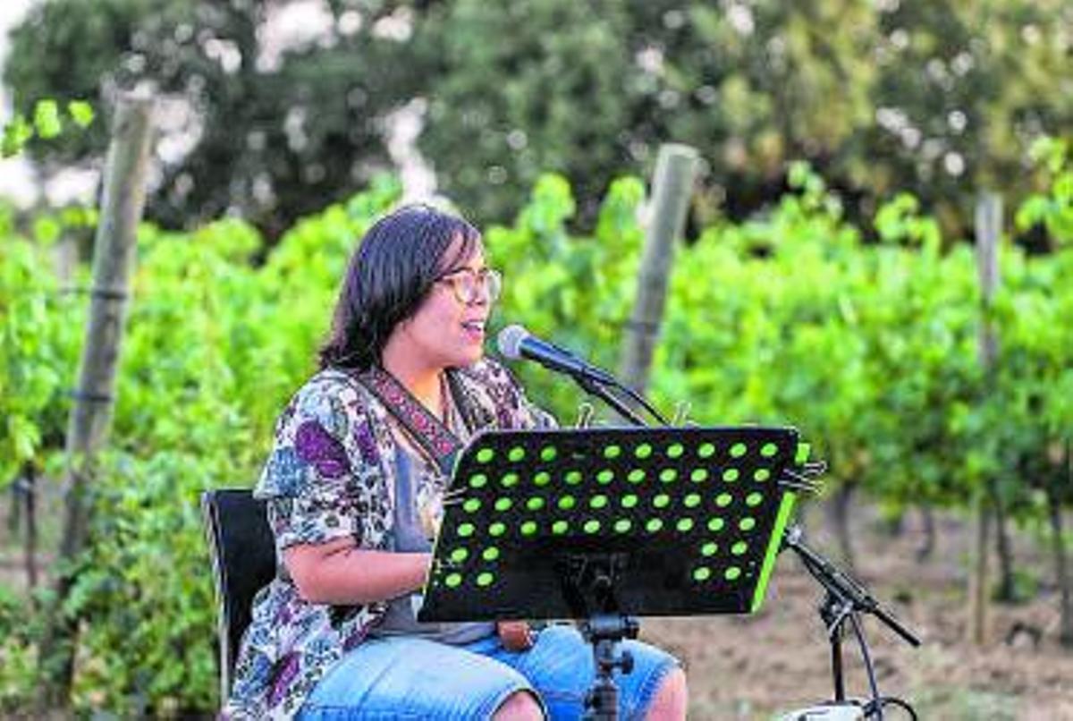 Un dels concerts inclosos a les activitats entre vinyes. | LA VINYETA