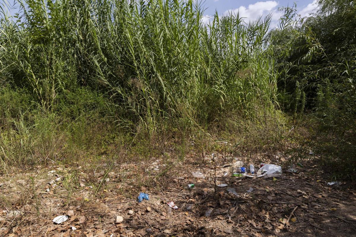 Envases y basura depositado en los alrededores del río Túria.
