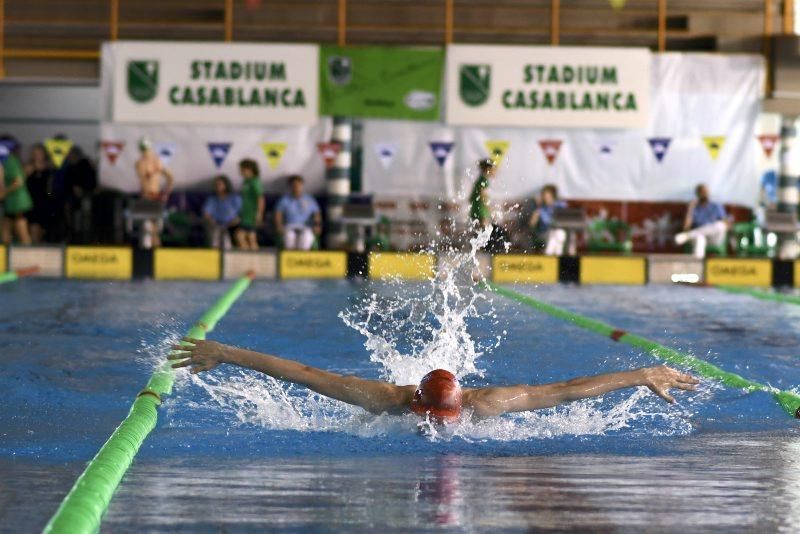 Trofeo Ciudad de Zaragoza de Natación