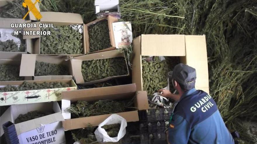 La Guardia Civil interviene más de 20 kilos y medio de cogollos de marihuana en Villar del Rey y Ruecas