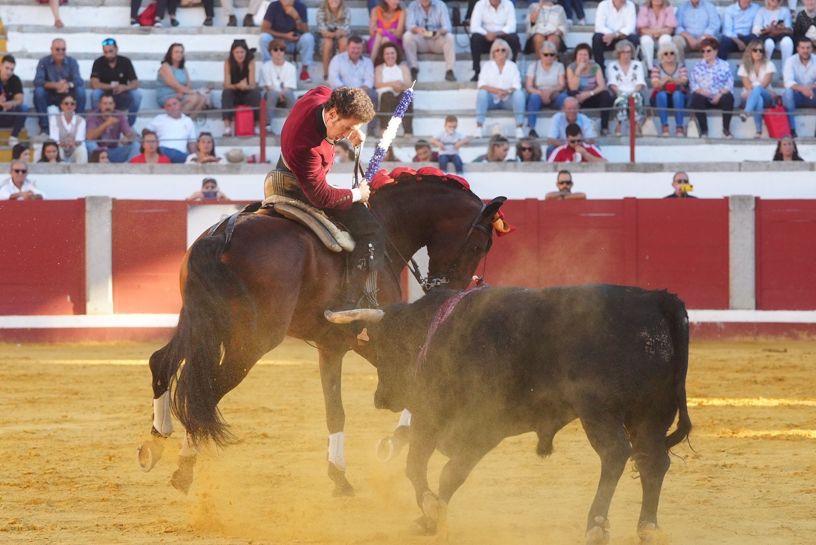 La corrida de rejones en Pozoblanco, en imágenes