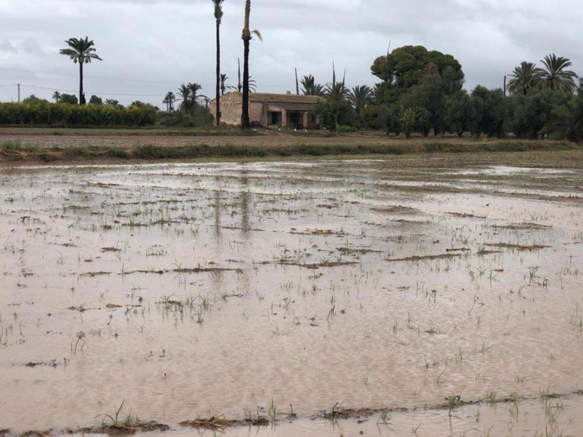 La gota fría en el Camp d'Elx