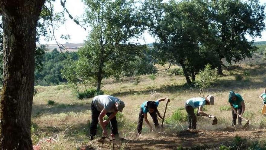 Trabajos de excavaciones arqueológicas el pasado verano en un yacimiento del municipio de Rabanales