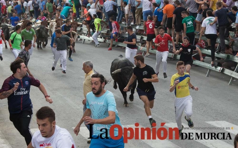 Quinto encierro en Calasparra