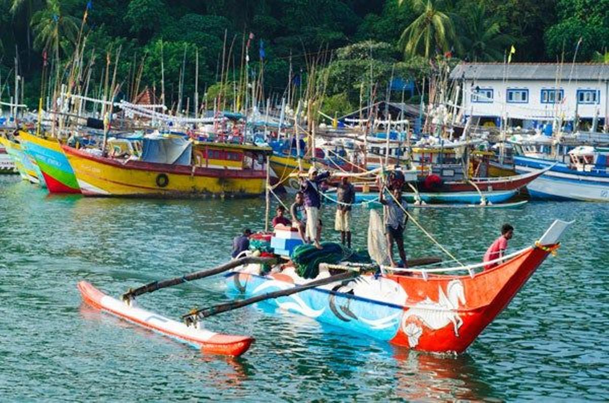Barcos pesqueros en el puerto de Mirissa, Sri Lanka.