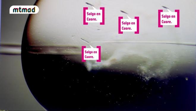 Esperma de Christofer fecundando los óvulos de Fani Carbajo