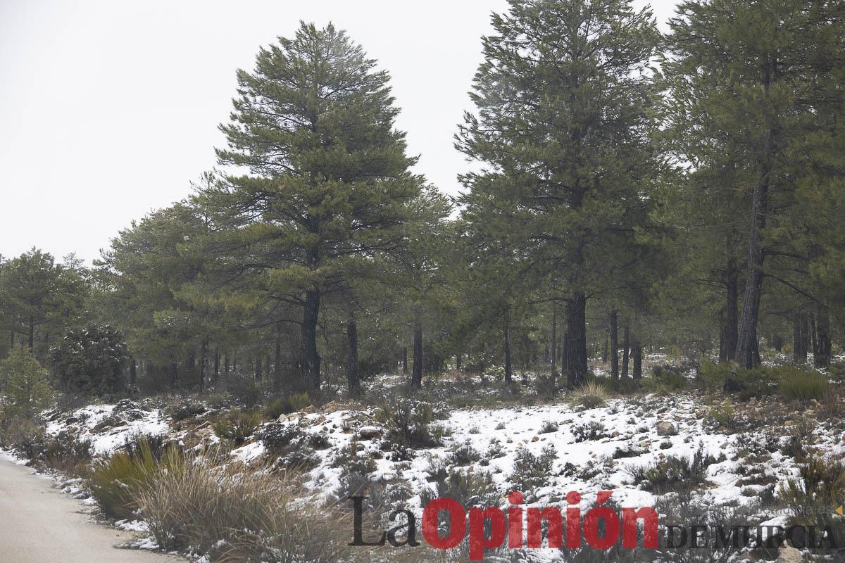 Así se está viviendo la última nevada en las proximidades de Revolcadores en Moratalla Así se está viviendo la última nevada en las proximidades de Revolcadores en Moratalla