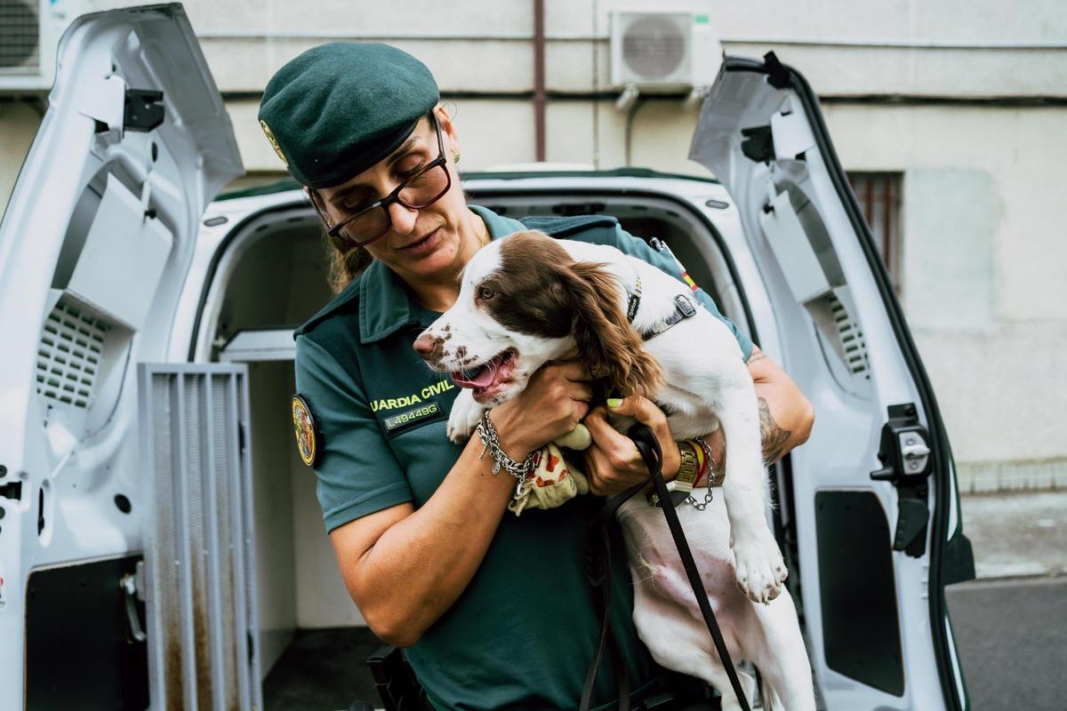 El cachorro Kaiser, de solo 4 meses, está en formación para aprender a detectar armas