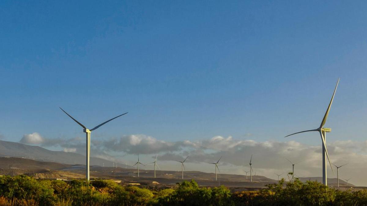 Parque eólico.