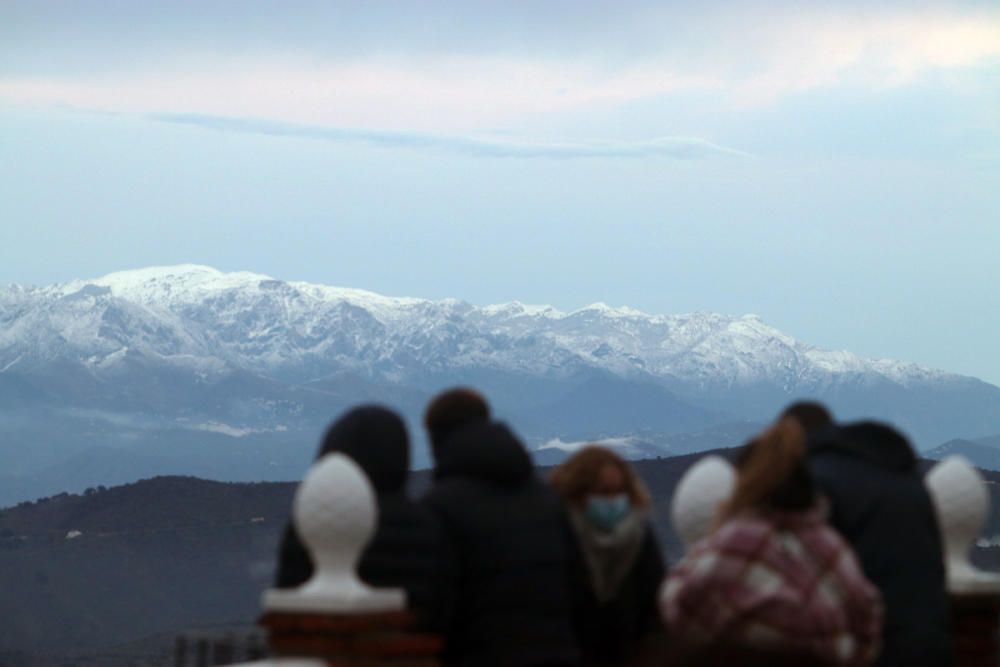 De fondo, la Sierra de las Nieves