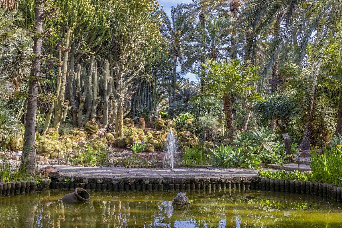 Palmeral de Elche.