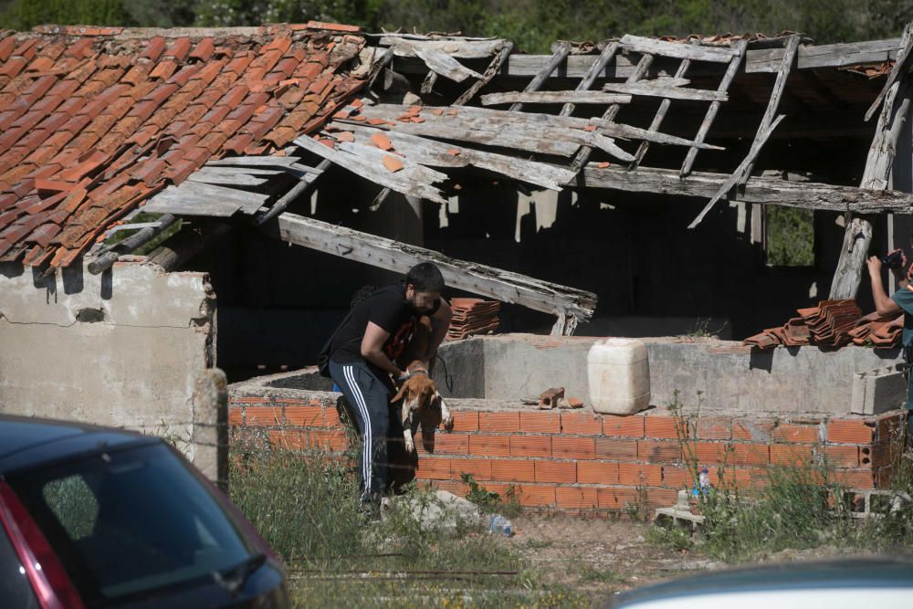 Rescatados perros Valdeperdices