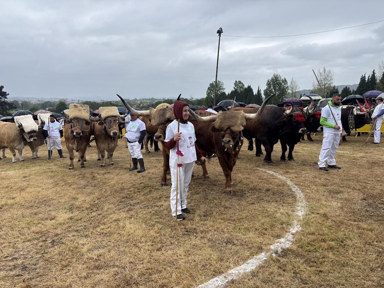 EN IMÁGENES: El domingo de San Isidro en Llanera