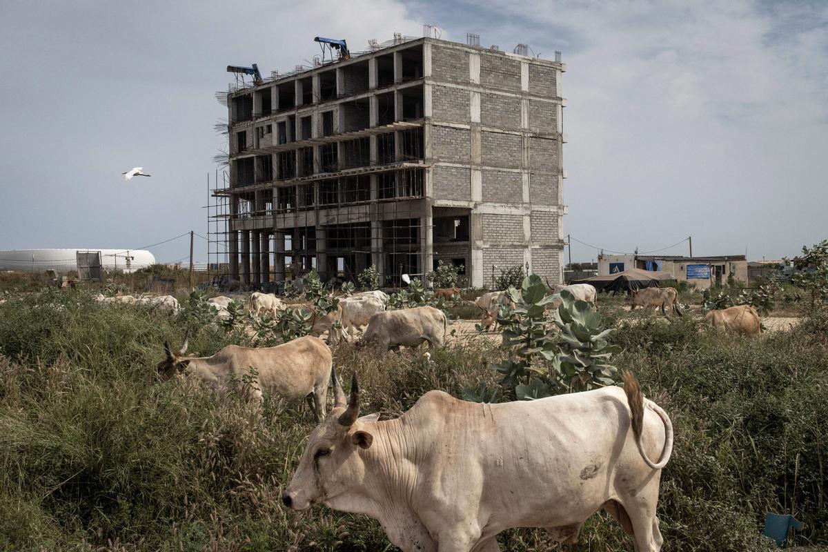 Estos son los trabajadores que construyen la nueva ciudad de Diamniadio (Senegal)