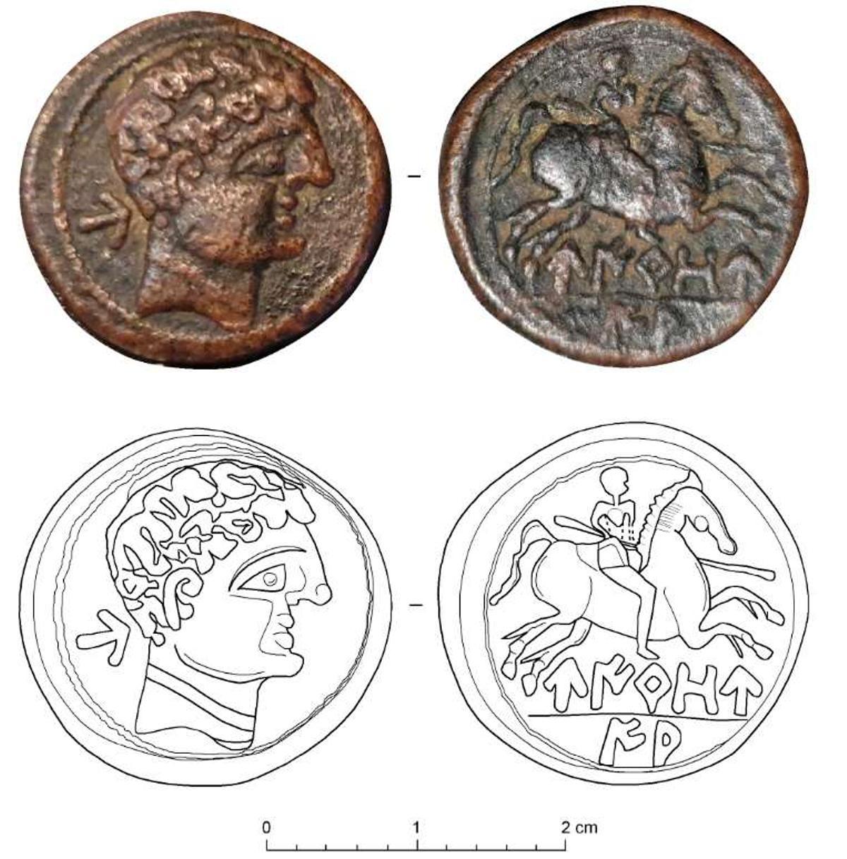 Moneda de la ceca celtibérica de Virovia, recuperada de manera casual en las inmediaciones de la torre de la iglesia de Borobia.