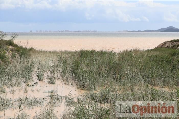 Limpian Los Alcázares tras las fuertes lluvias de los últimos días