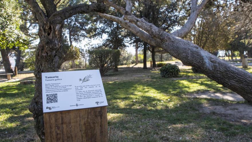 El parc de l&#039;Agulla seguirà tancat almenys fins l&#039;11 de maig