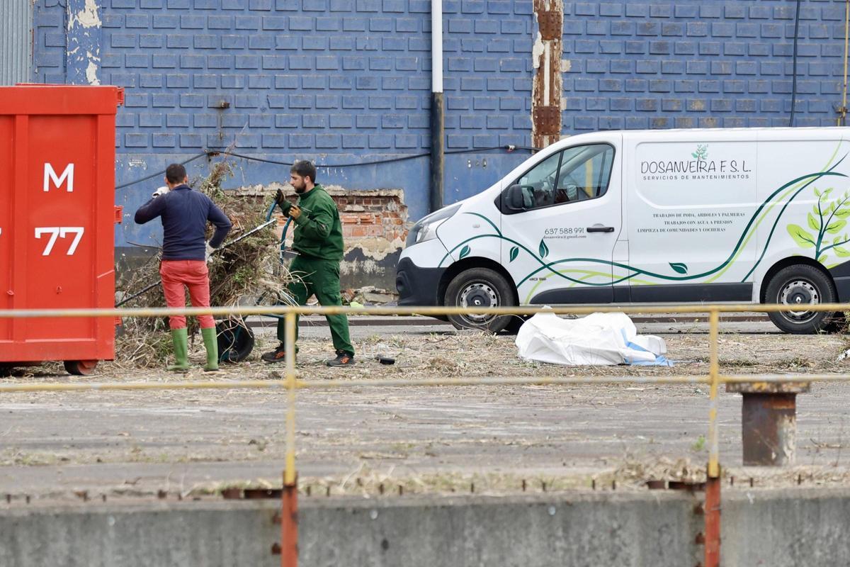 Pymar arranca los trabajos de limpieza en sus terrenos de Naval Gijón (en imágenes)