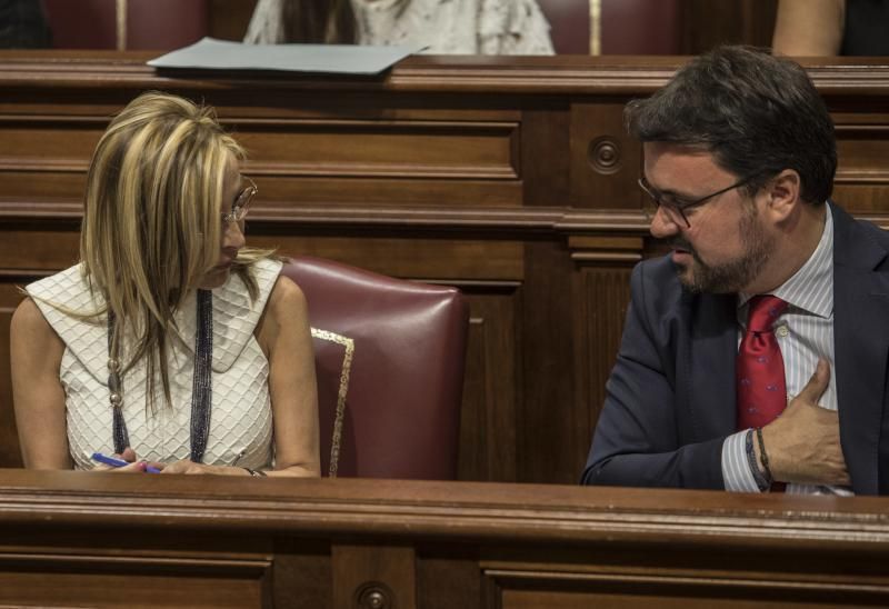 Pleno en el Parlamento de Canarias (21/06/2017)