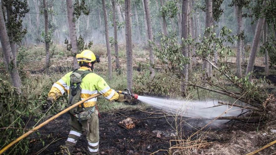 Uno de los incendios forestales registrados en 2017 en los que intervino el Consorcio Provincial.