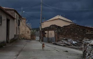 El Pacto Rural Europeo, a un paso de hacerse realidad para frenar fenómenos como la despoblación en Zamora