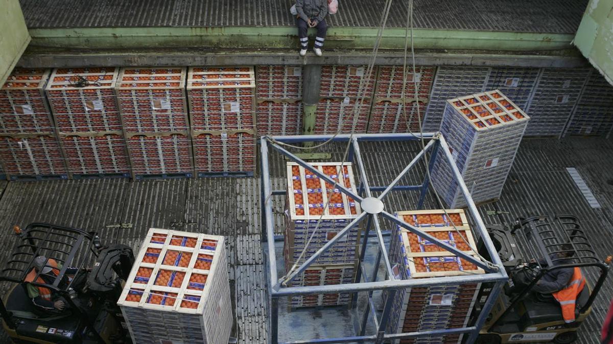 Un grupo de estibadores carga un buque de naranjas.
