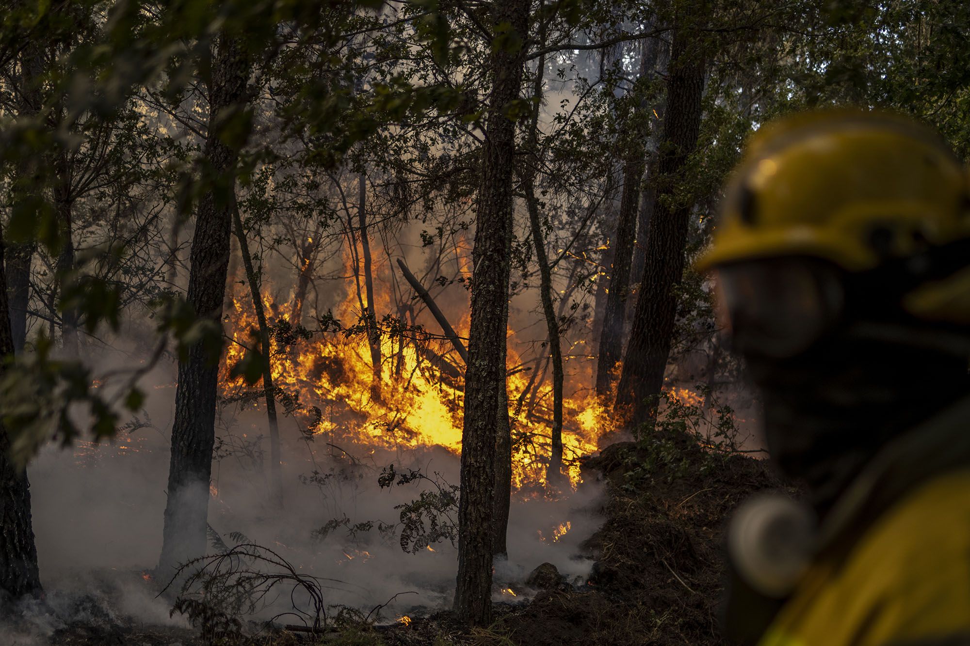 Efectivos antiincendios intentan apagar las llamas en O Irixo