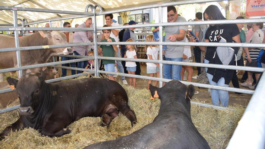 Berga reivindica el sector ramader amb una concorreguda Santa Tecla