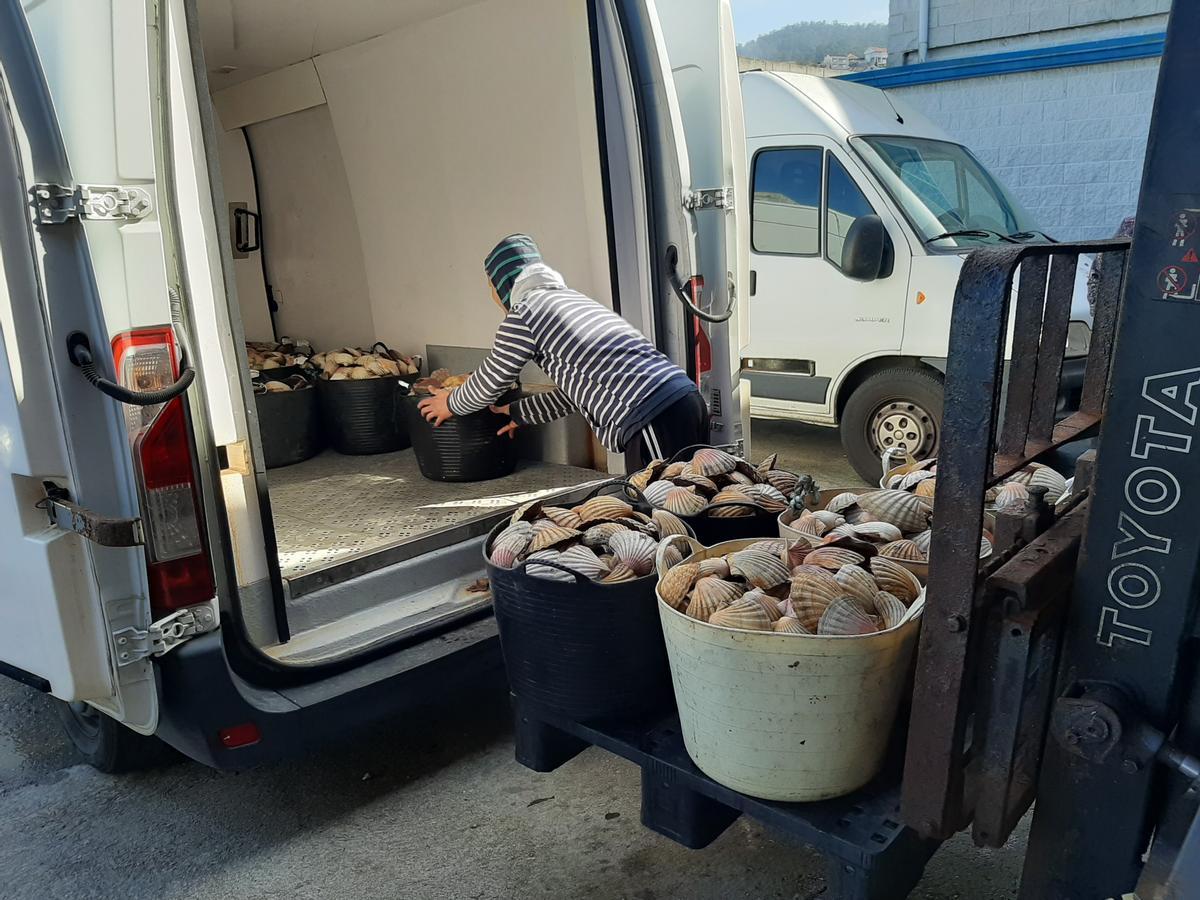 Marineros cargando la vieira tras pasar por la lonja de Bueu en la última campaña.