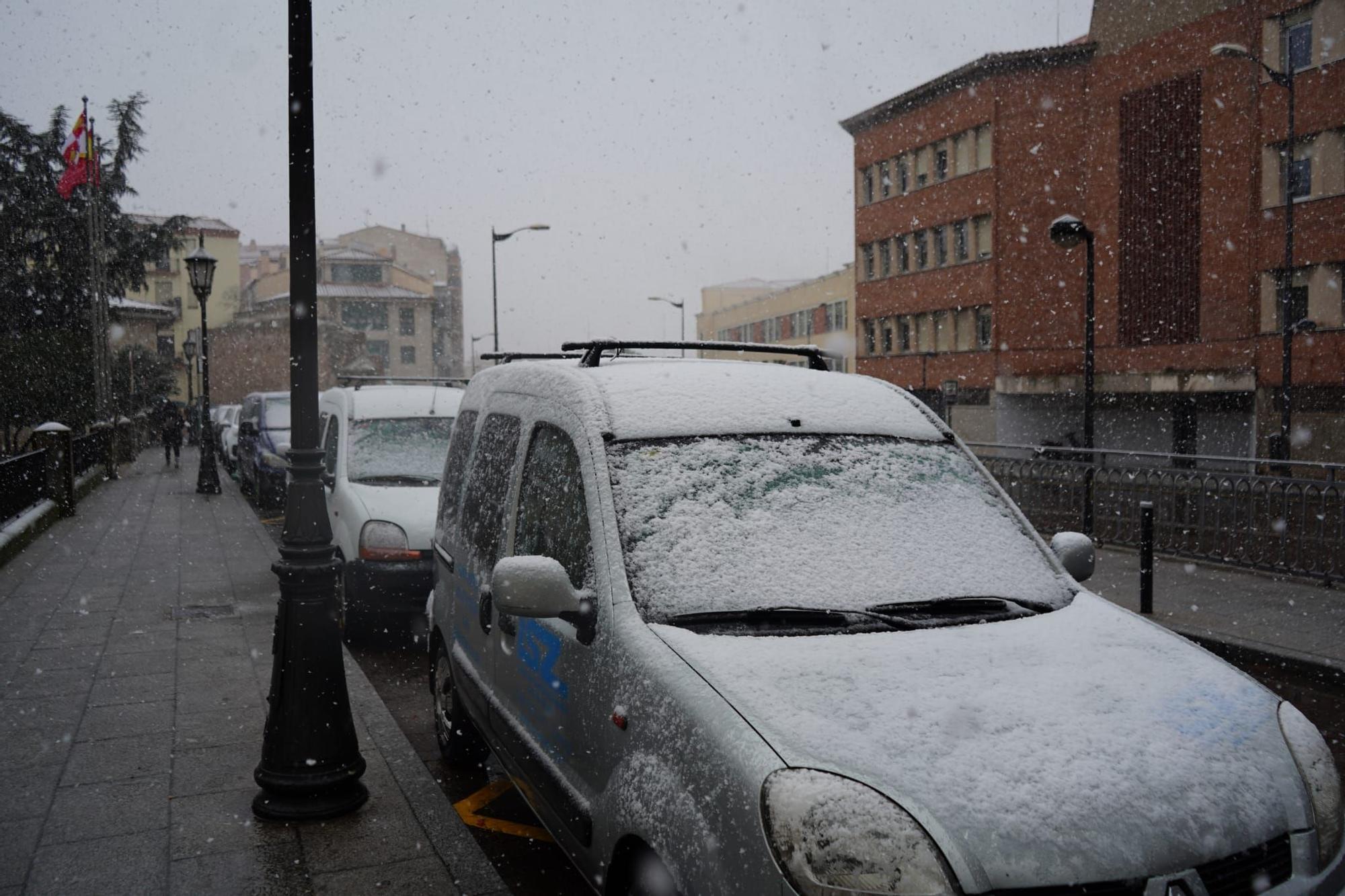 GALERÍA | Las mejores imágenes de la nieve en Zamora capital