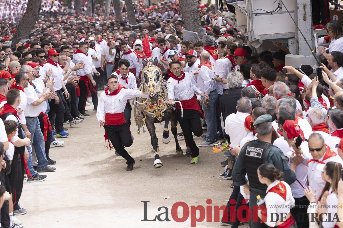 Así se ha vivido la carrera de Los Caballos del Vino en Caravaca