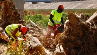 La polémica de la limpieza del cauce se salda con una brigada de 60.000 euros