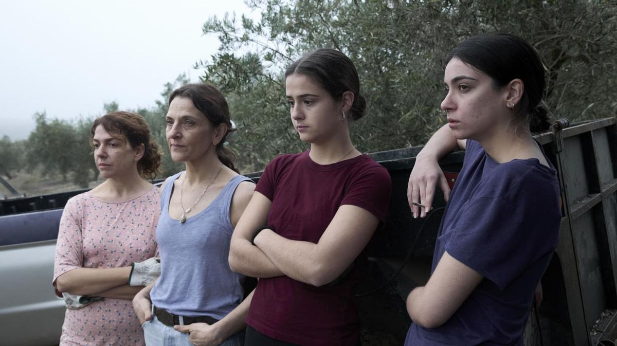 Una imagen de 'Los Tortuga'