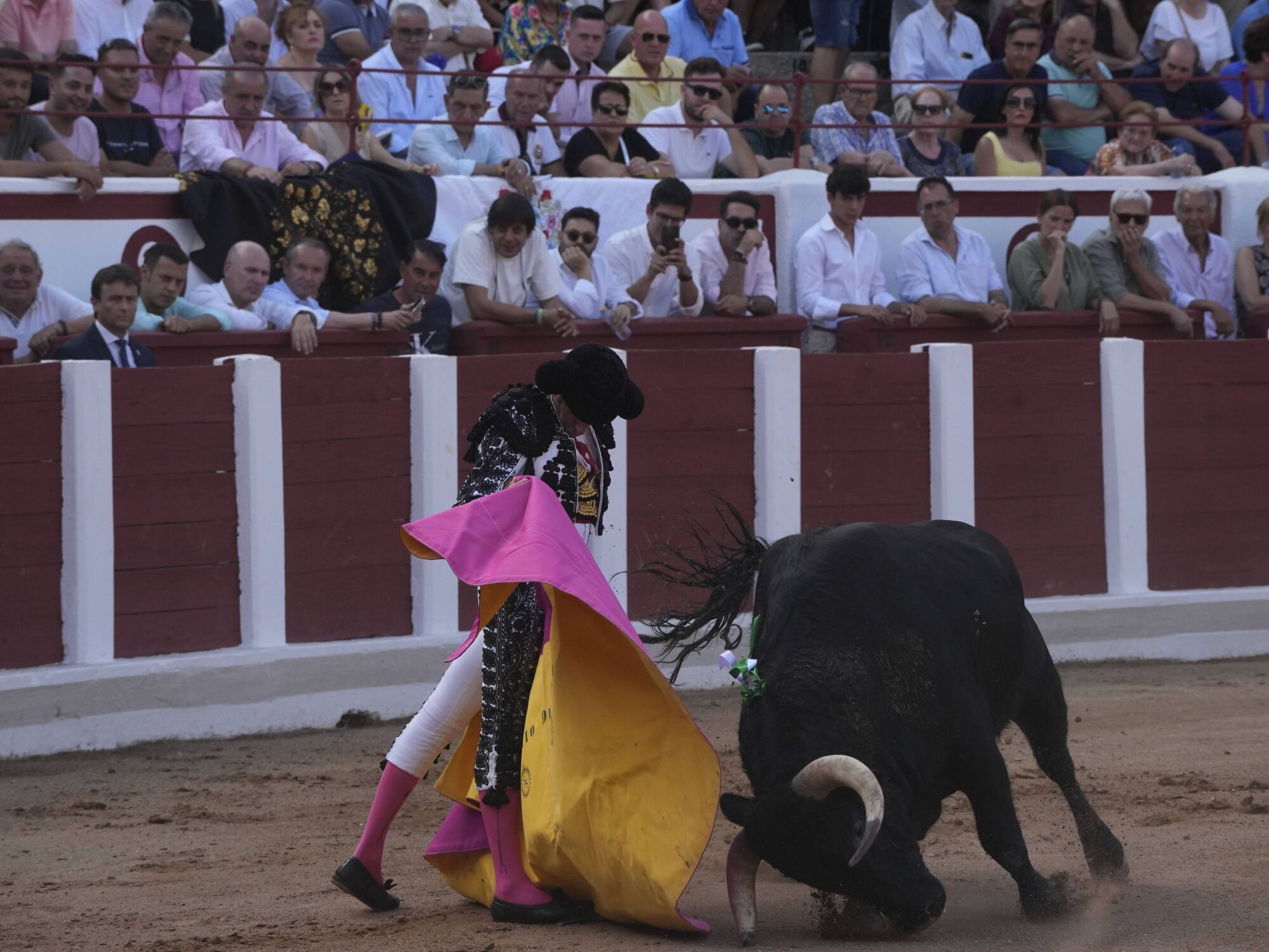 Las mejores imágenes de la feria taurina de San Pedro en Zamora.